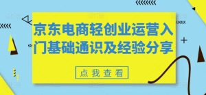 京东电商轻创业运营入门基础通识及经验分享