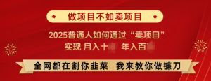 必看，做项目不如卖项目，2025普通人如何通过“卖项目”实现月入十个，年入百个