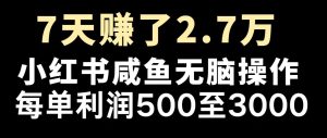 最赚钱项目之一，2025爆火，逆风翻盘！