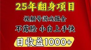 一天收益1000+ 25年开年落地好项目
