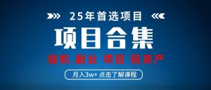 实操项目合集 挂机类型 直播类型 轻资产创业类型 课程分享各项目介绍和原理