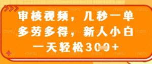 视频审核员，几秒一单，不限时间，不限地点，多做多得，新人小白一天轻松几张+【揭秘】