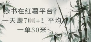 抄书在小红薯平台？平均一单30米，一天收益几张！