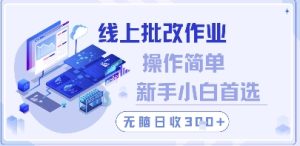 线上批改作业，操作简单新手小白首选，无脑日收300+【揭秘】