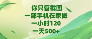 你只管截图，一部手机在家做，一小时120，-天500+