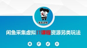 闲鱼采集虚拟IT课程资源另类玩法，干货满满