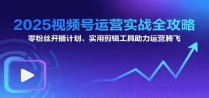 2025视频号运营实战全攻略：零粉丝开播计划、起号到到变现思维逻辑方法