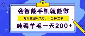 2025年零撸手机项目，二十秒一单，纯薅羊毛，一天200+做就有【揭秘】