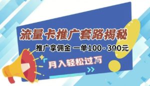 2025年外面卖1500的流量卡项目最新玩法，绿色无门槛对新手非常友好，日入3张+