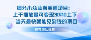 小众蓝海赛道项目：当天变现1k+适合新手操作 +适合长期玩