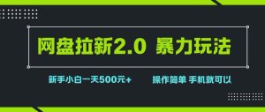 （15759期）网盘拉新2.0，暴力玩法，新手小白一天轻松500，操作简单