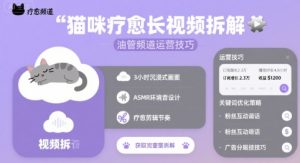 猫咪疗愈长视频拆解 &油管频道运营技巧