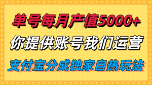 单月产值5000+，支付宝分成代运营，你提供账号坐等分钱，我们帮你运营