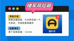 懂车帝邪修拉新玩法，简单注册回填，不sm，单个拉新12rmb，轻松日入200+
