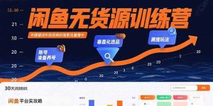 （15698期）闲鱼无货源训练营：账号准备养号/垂直化选品/黑搜玩法，0基础30天盈利指南