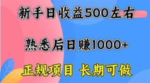 （16132期）新手日收益500+ 正规项目 长期可做