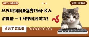 从兴趣到副业靠宠物占卜收入翻3倍一个月纯利润破W
