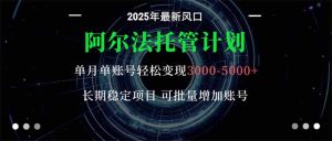 阿尔法托管计划 单账号月入3000-5000，长期稳定项目，新手小白轻松上手。