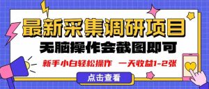 （16155期）新版采集调研项目，截图上传即可，无脑操作，日收益1-2张