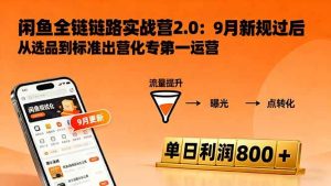（16265期）闲鱼变现课3.0：掌握链接优化、流量提升、商业变现，单日利润800+