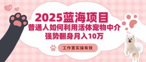 2025蓝海项目：普通人如何利用活体宠物中介，强势翻身月入10万