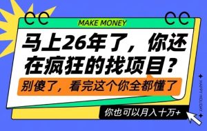 26年了，不要再疯狂的找项目了，看完这个你也可以月入十个W【揭秘】