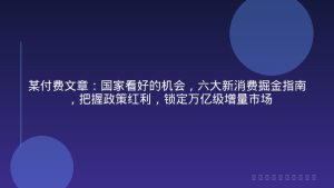 某付费文章：国家看好的机会，六大新消费掘金指南，把握政策红利，锁定万亿级增量市场