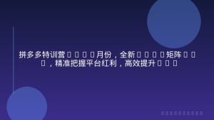 拼多多特训营12-1月份，全新3.01矩阵Sop，精准把握平台红利，高效提升店铺业绩