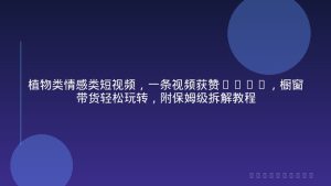 植物类情感类短视频，一条视频获赞36W+，橱窗带货轻松玩转，附保姆级拆解教程