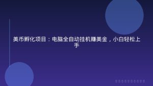 美币孵化项目：电脑全自动挂机赚美金，小白轻松上手