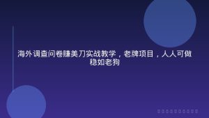 海外调查问卷賺美刀实战教学，老牌项目，人人可做稳如老狗