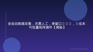 全自动数据采集，无需人工，单窗口50+，0成本可批量矩阵操作【揭秘】