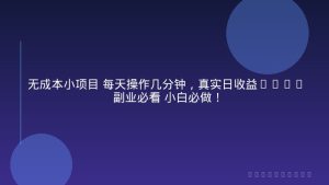 无成本小项目 每天操作几分钟，真实日收益800+ 副业必看 小白必做！