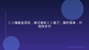 DL撸美金项目，单日单机50美刀，操作简单，可矩阵多开