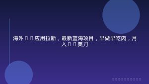 海外TK应用拉新，最新蓝海项目，早做早吃肉，月入5K美刀