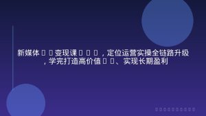 新媒体IP变现课2.0，定位运营实操全链路升级，学完打造高价值IP、实现长期盈利