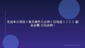 无成本小项目,每天操作几分钟,日收益800+ 副业必看 小白必做！