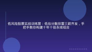 低风险股票实战训练营：低估分散排雷三箭齐发，手把手教你构建十年十倍永续组合