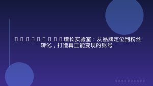 Instagram增长实验室：从品牌定位到粉丝转化，打造真正能变现的账号