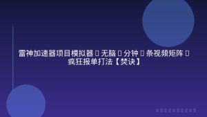 雷神加速器项目模拟器_无脑1分钟1条视频矩阵_疯狂报单打法【焚诀】