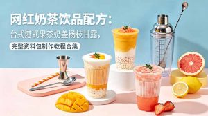 网红奶茶饮品配方：台式港式果茶奶盖杨枝甘露，完整资料包制作教程合集