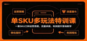 单SKU多玩法特训课：一套SKU三种运营思路，流量承接，利润提升落地教学