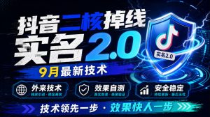 抖音二核掉线十名2.0，9月最新技术，外来技术，效果自测