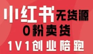 小红书无货源0粉电商课，开店准备、选品策略、笔记撰写、视频剪辑、数据分析、账号打造、资料文档（更新26年09月16日）