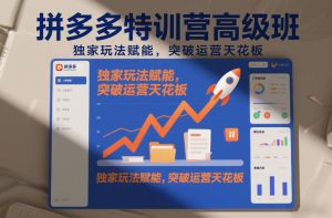 拼多多特训营高阶班，独家玩法赋能，突破运营天花板（更新260919）