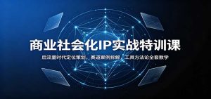 商业社会化IP实战特训课：后流量时代定位策划，赛道案例拆解，工具方法论全套教学